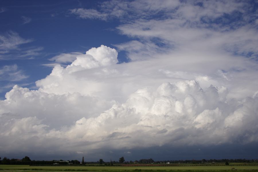 thunderstorm cumulonimbus_calvus : Windsor, NSW   28 February 2007