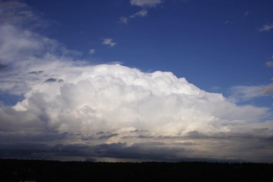 thunderstorm cumulonimbus_incus : Schofields, NSW   28 February 2007