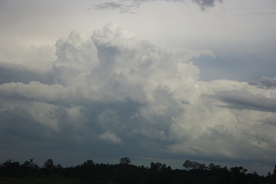 updraft thunderstorm_updrafts : near Liverpool, NSW   1 March 2007