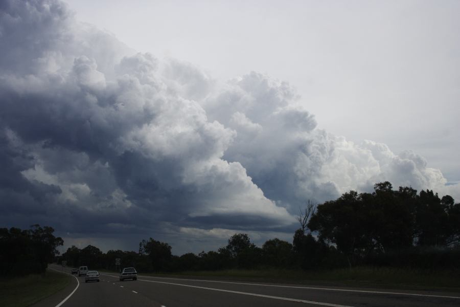 thunderstorm cumulonimbus_calvus : near Engadine, NSW   1 March 2007