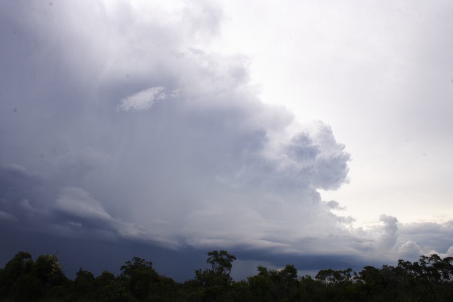 thunderstorm cumulonimbus_incus : near Heathcote, NSW   1 March 2007