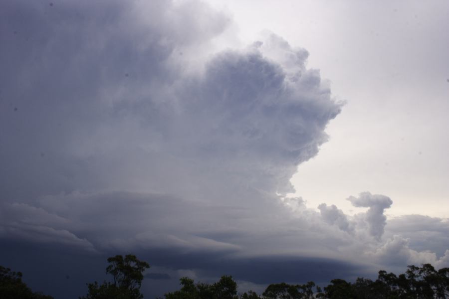 updraft thunderstorm_updrafts : near Heathcote, NSW   1 March 2007