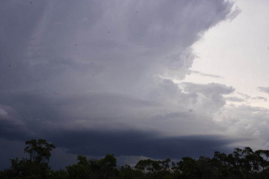 thunderstorm cumulonimbus_incus : near Heathcote, NSW   1 March 2007
