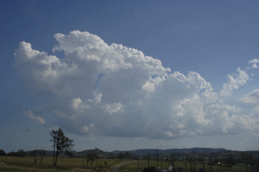 cumulus congestus : Dungog, NSW   4 March 2007