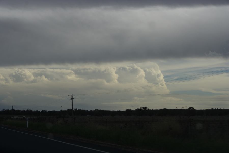 thunderstorm cumulonimbus_incus : 20km N of Gulgong, NSW   5 March 2007