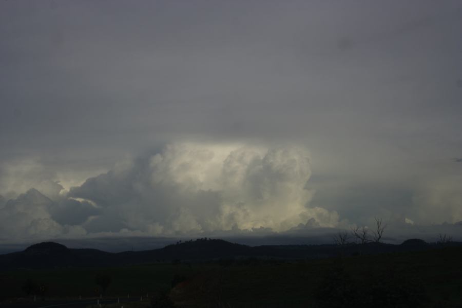 anvil thunderstorm_anvils : near Cherry Tree Hill, NSW   5 March 2007