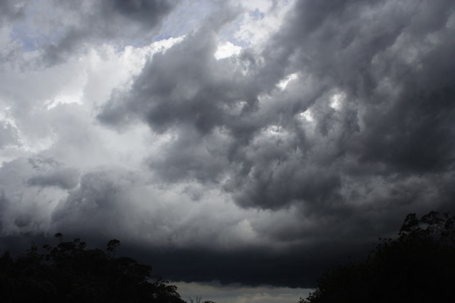 cumulonimbus thunderstorm_base : near Sutherland, NSW   8 March 2007