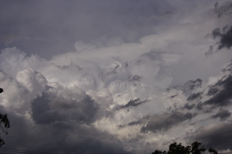 updraft thunderstorm_updrafts : Miranda, NSW   8 March 2007