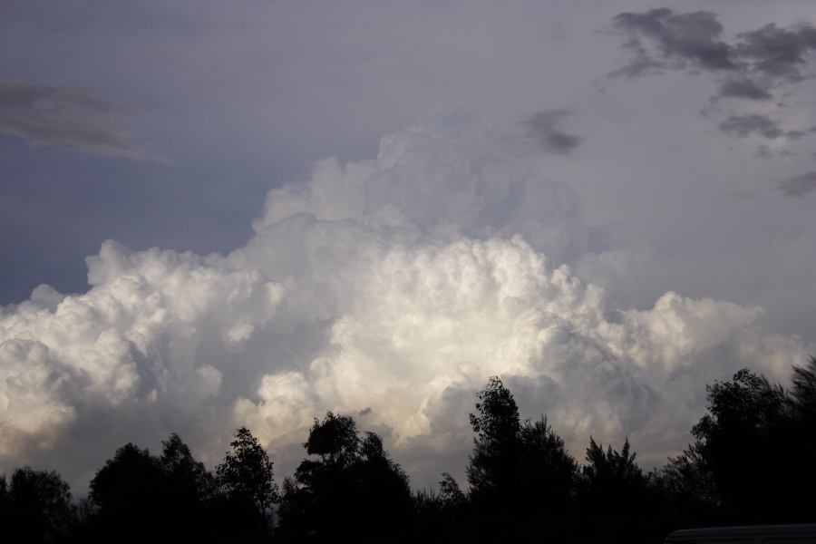 updraft thunderstorm_updrafts : near Padstow, NSW   8 March 2007