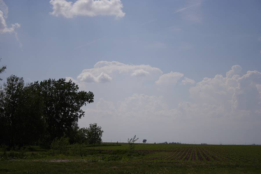 cumulus mediocris : York, Nebraska, USA   14 May 2007