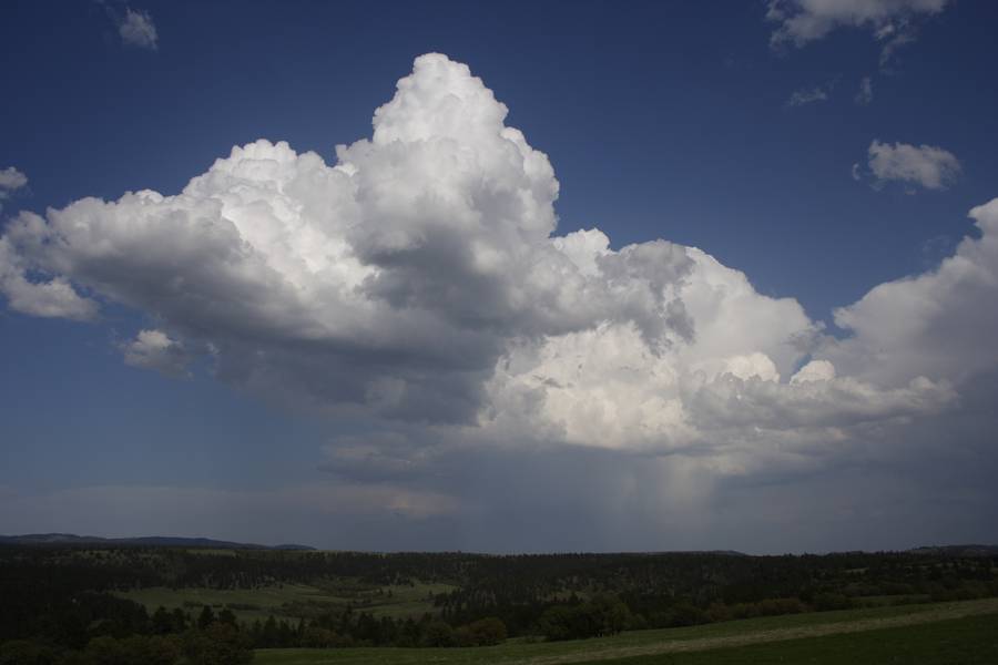 cumulus mediocris : near Devil's Tower, Wyoming, USA   18 May 2007