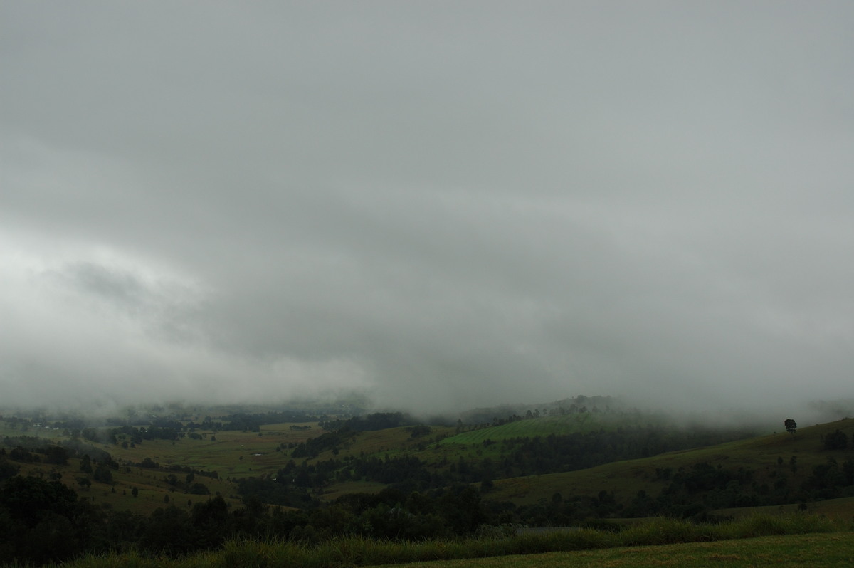 stratus stratus_cloud : McLeans Ridges, NSW   6 June 2007