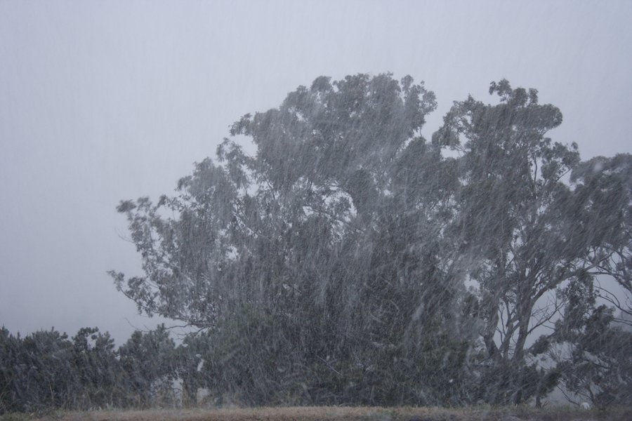 precipitation precipitation_rain : Oberon, NSW   5 July 2007