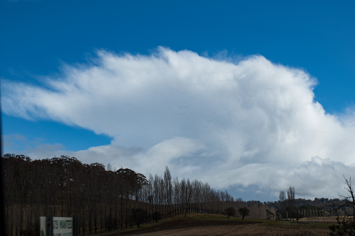 thunderstorm cumulonimbus_incus : near Glen Innes, NSW   8 July 2007