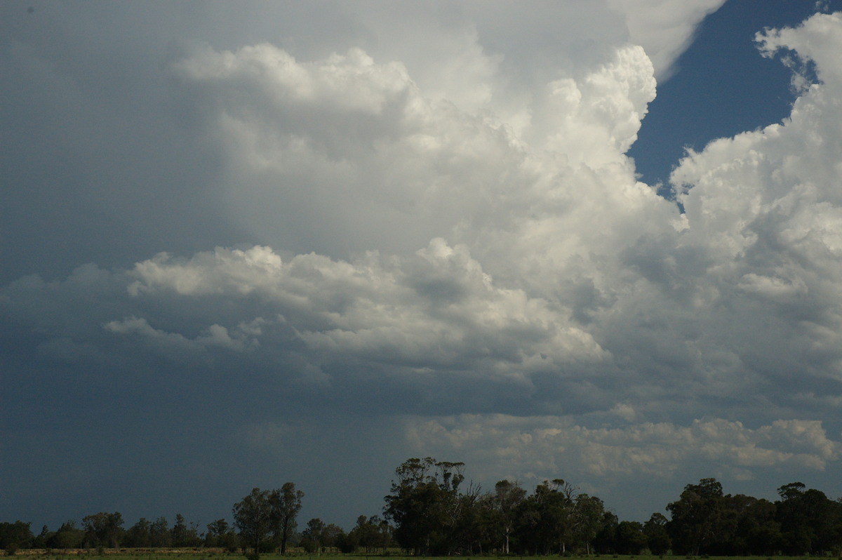 updraft thunderstorm_updrafts : Ruthven, NSW   6 October 2007