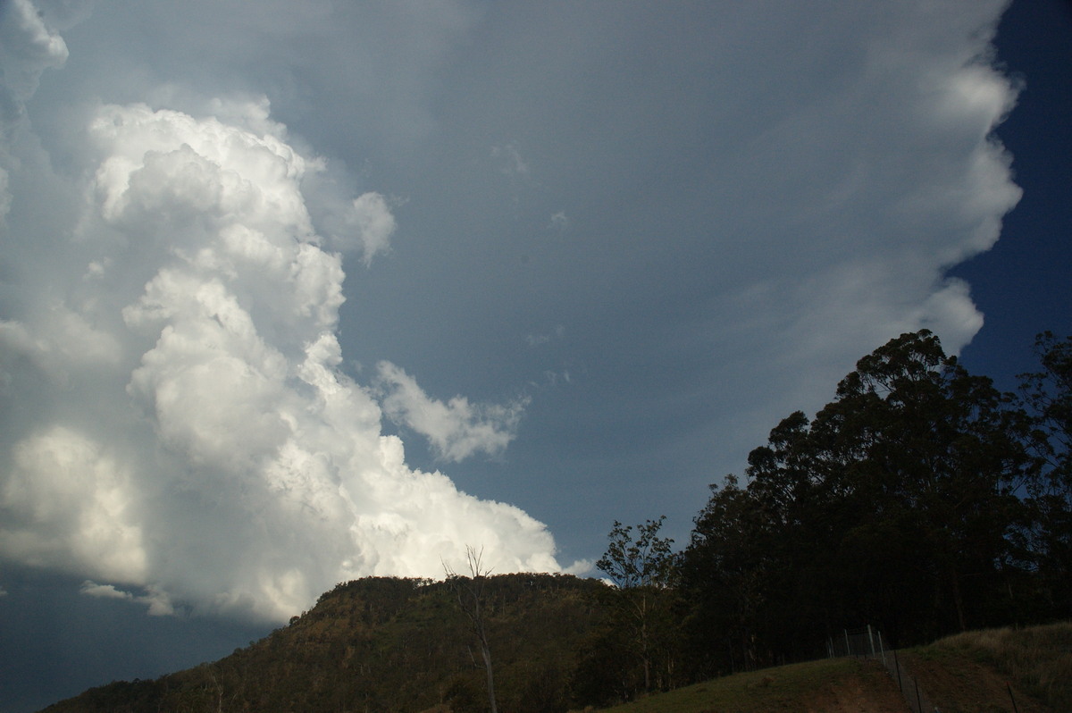 anvil thunderstorm_anvils : Border Ranges, NSW   6 October 2007
