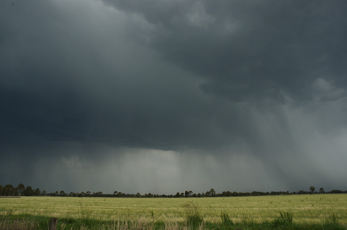 raincascade precipitation_cascade : N of Casino, NSW   7 October 2007
