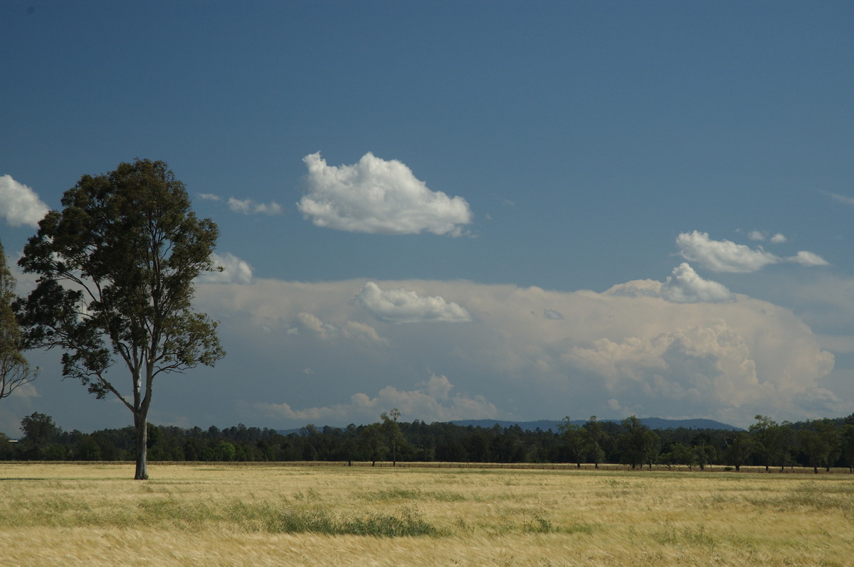thunderstorm cumulonimbus_incus : Shannon Brook, NSW   12 October 2007