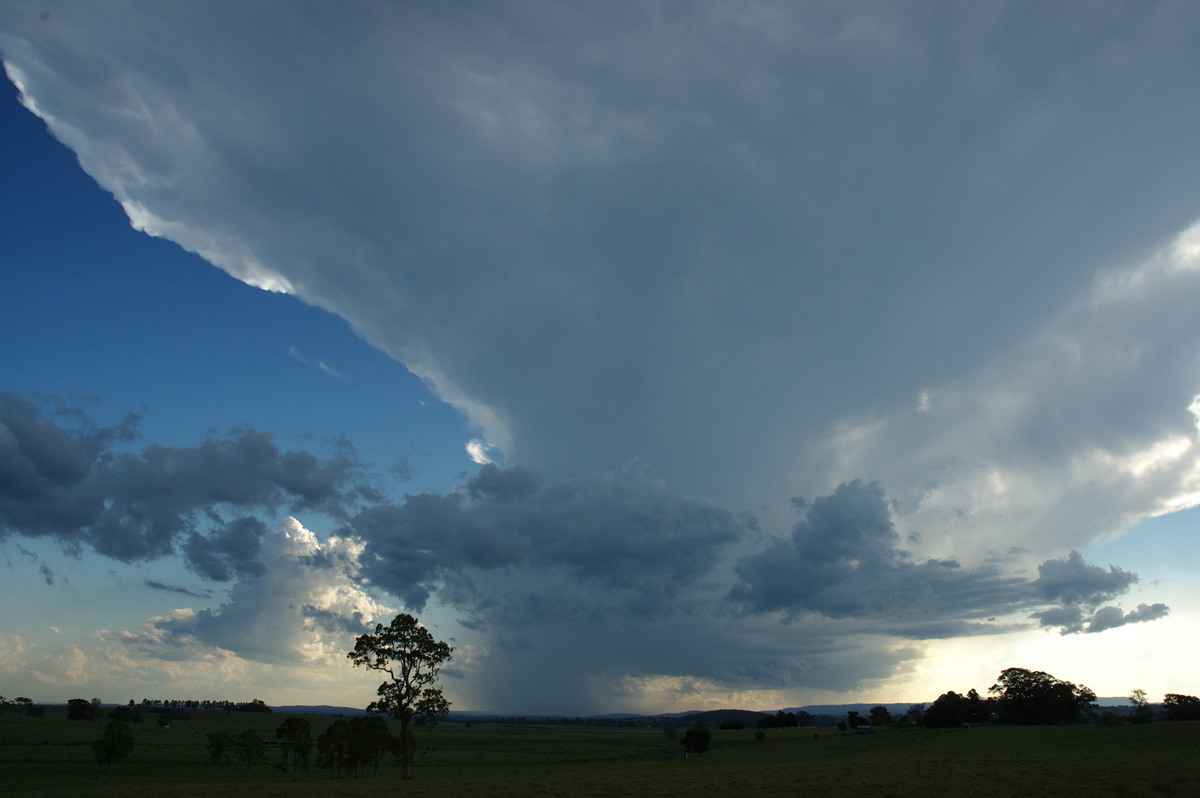 anvil thunderstorm_anvils : near Kyogle, NSW   30 October 2007