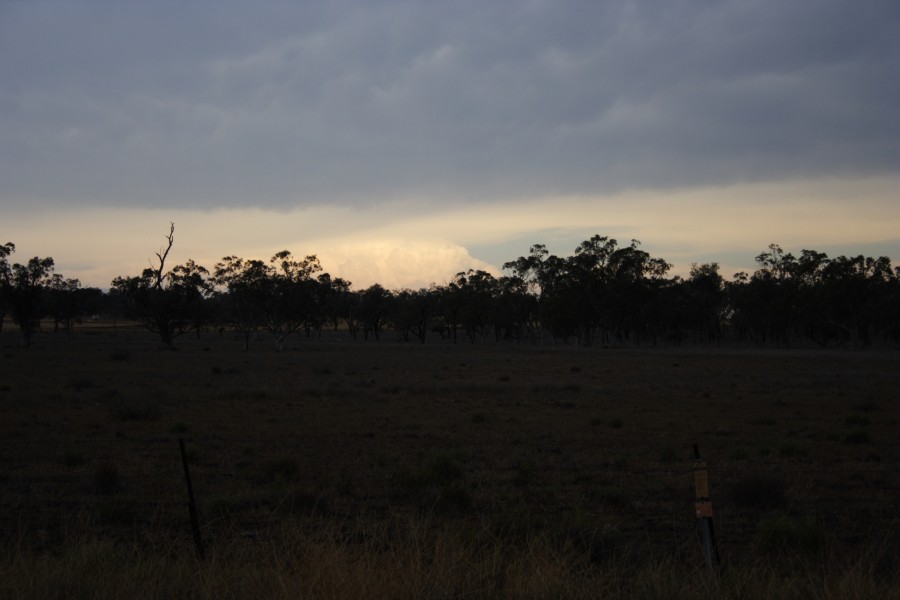 thunderstorm cumulonimbus_incus : near North Star, NSW   31 October 2007