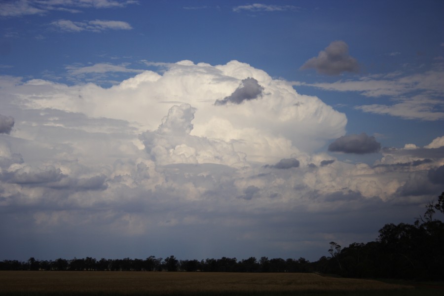thunderstorm cumulonimbus_incus : near Goondiwindi, Qld   1 November 2007