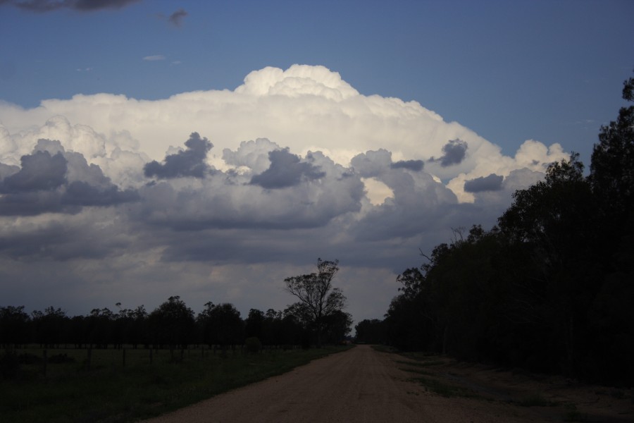 thunderstorm cumulonimbus_incus : near Goondiwindi, Qld   1 November 2007