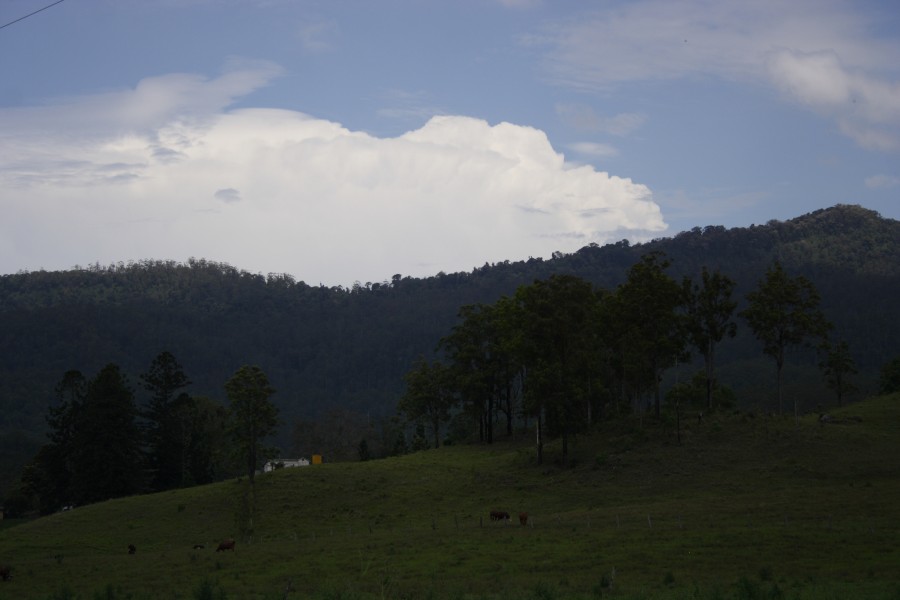 thunderstorm cumulonimbus_incus : near Wiangaree, NSW   2 November 2007
