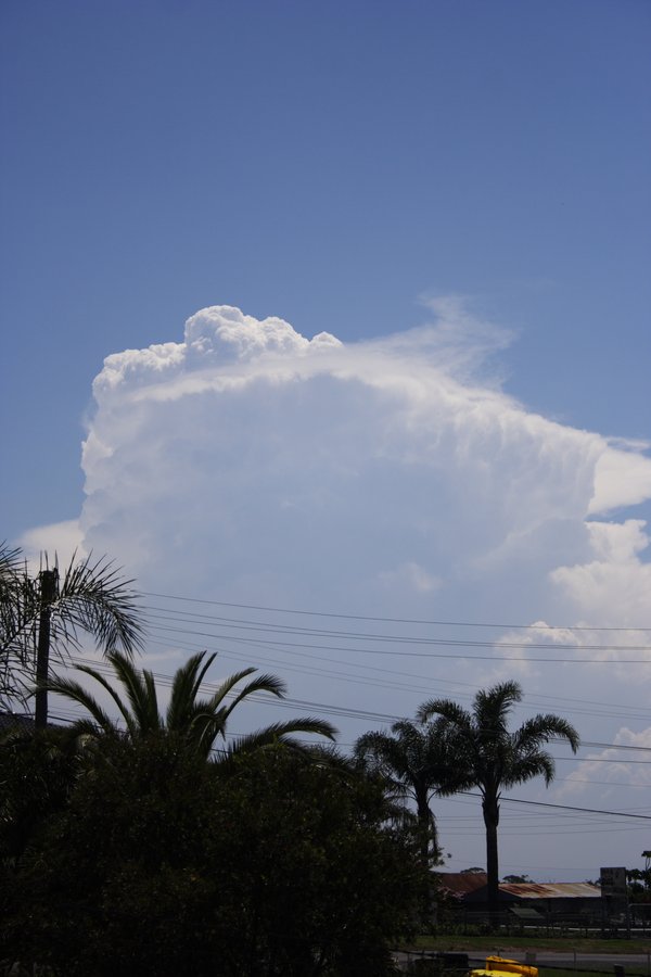 thunderstorm cumulonimbus_incus : Schofields, NSW   15 November 2007