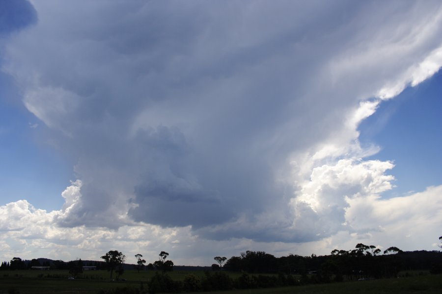 anvil thunderstorm_anvils : near Berrima, NSW   17 November 2007