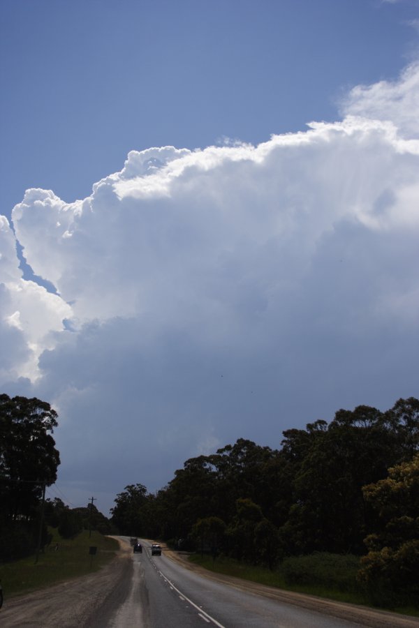 updraft thunderstorm_updrafts : near Hilltop, NSW   17 November 2007