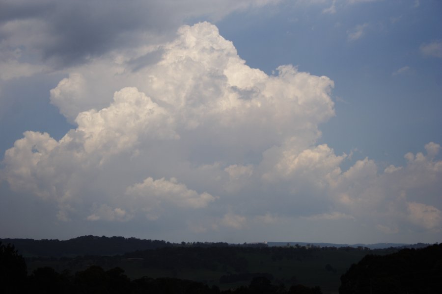 thunderstorm cumulonimbus_calvus : near Oberon, NSW   20 November 2007