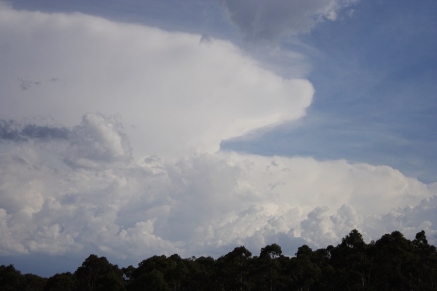 thunderstorm cumulonimbus_incus : Hartley, NSW   21 November 2007