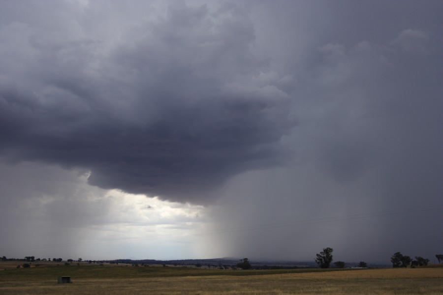 cumulonimbus thunderstorm_base : Tamworth, NSW   22 November 2007
