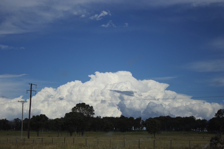 thunderstorm cumulonimbus_incus : W of Ebor, NSW   4 December 2007