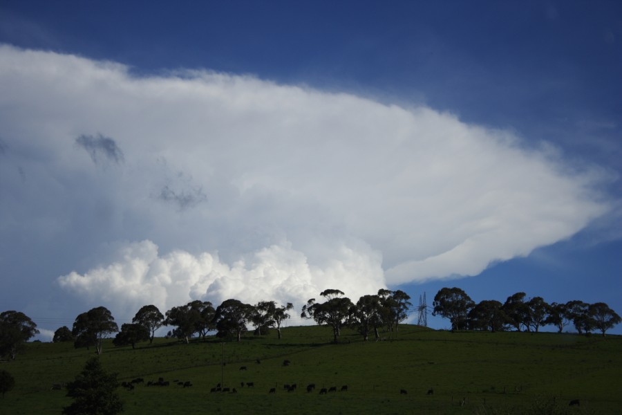 thunderstorm cumulonimbus_incus : W of Dorrigo, NSW   4 December 2007