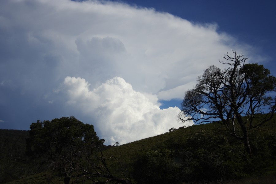 thunderstorm cumulonimbus_incus : W of Dorrigo, NSW   4 December 2007