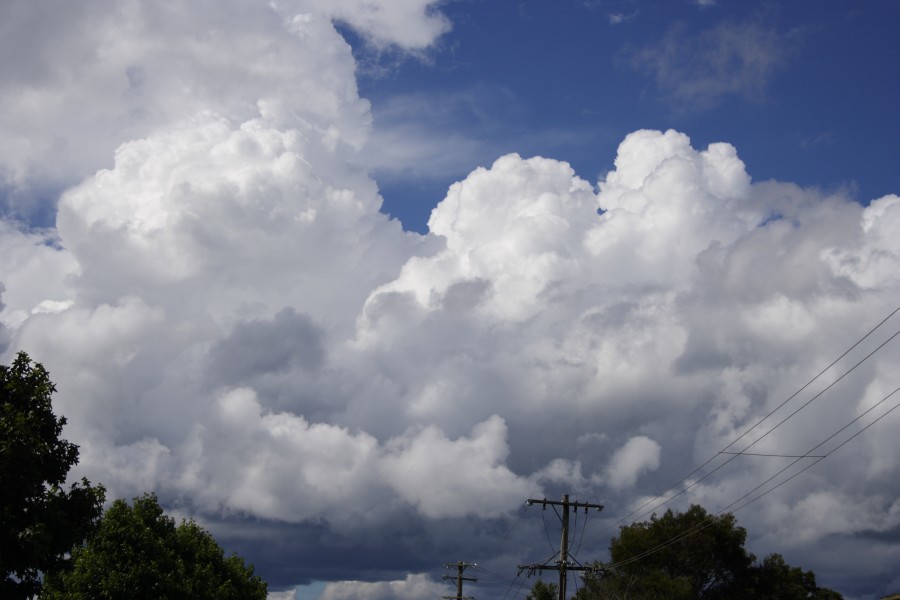thunderstorm cumulonimbus_incus : Dorrigo, NSW   5 December 2007