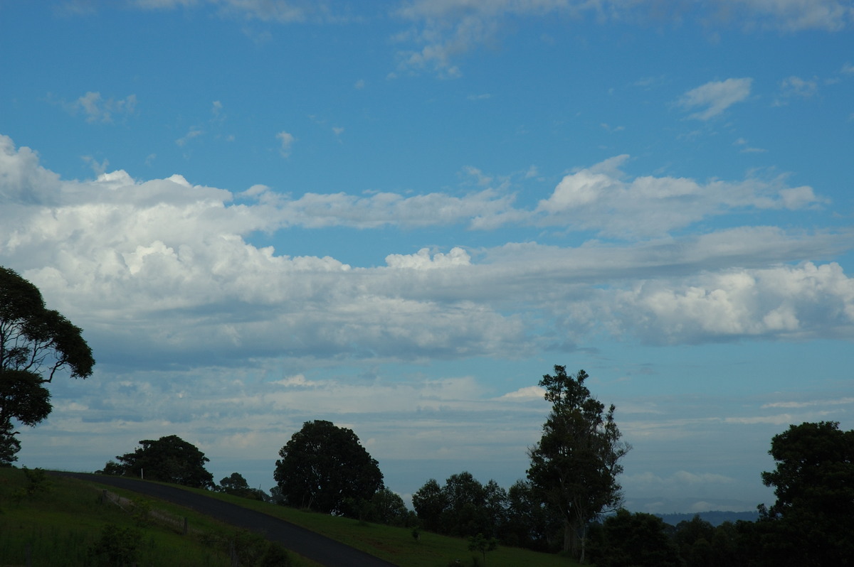 cumulus mediocris : McLeans Ridges, NSW   5 December 2007
