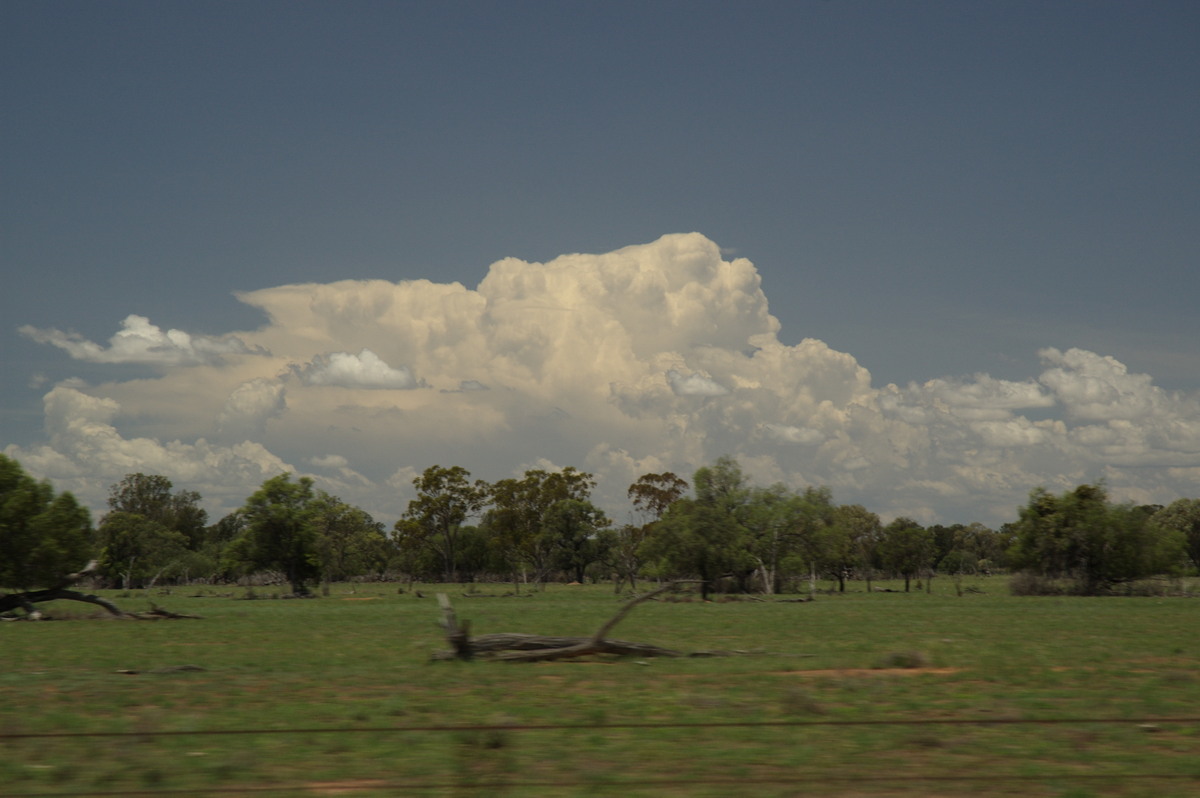 thunderstorm cumulonimbus_incus : near Coonamble, NSW   8 December 2007