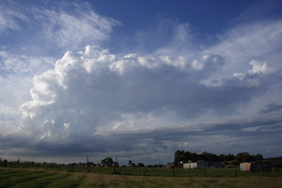 thunderstorm cumulonimbus_incus : Schofields, NSW   27 December 2007