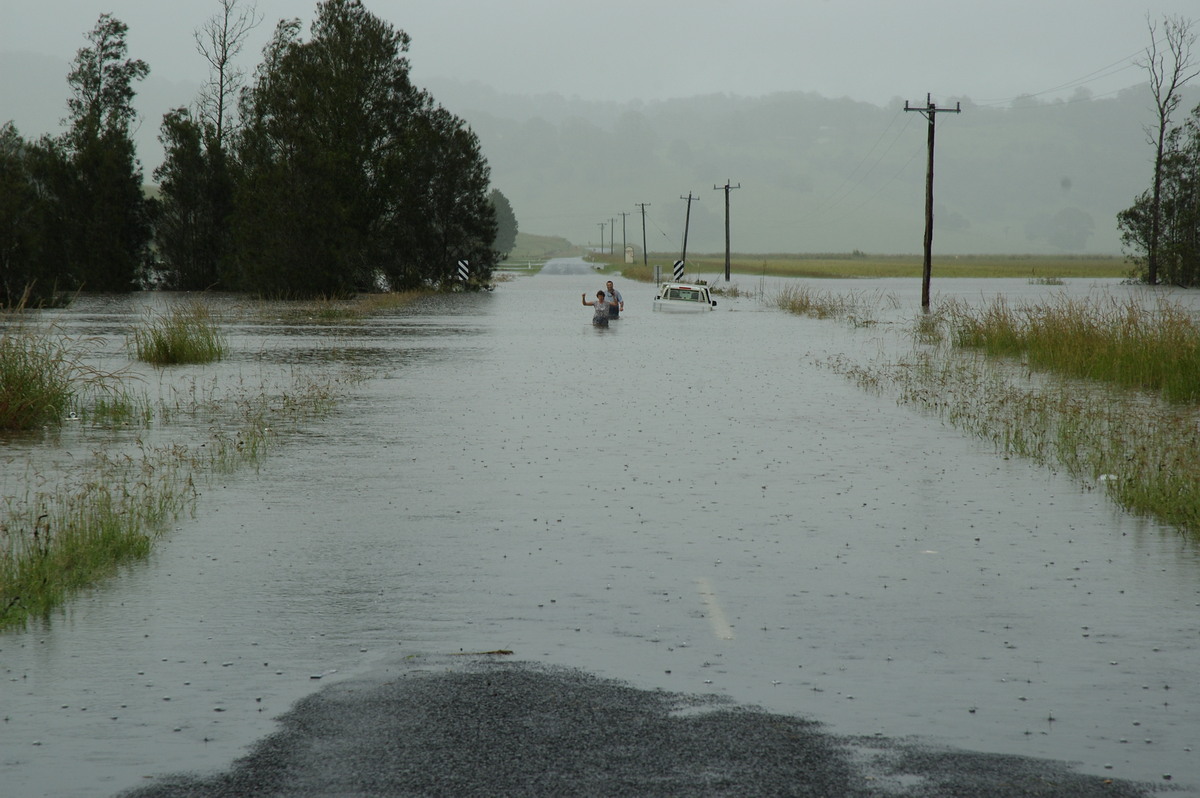 flashflooding flood_pictures : South Lismore, NSW   5 January 2008