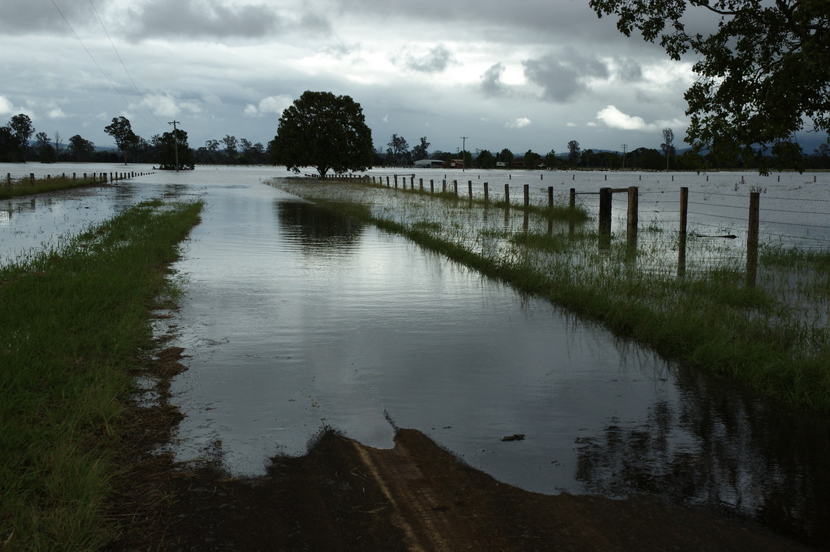 flashflooding flood_pictures : N of Casino, NSW   5 January 2008