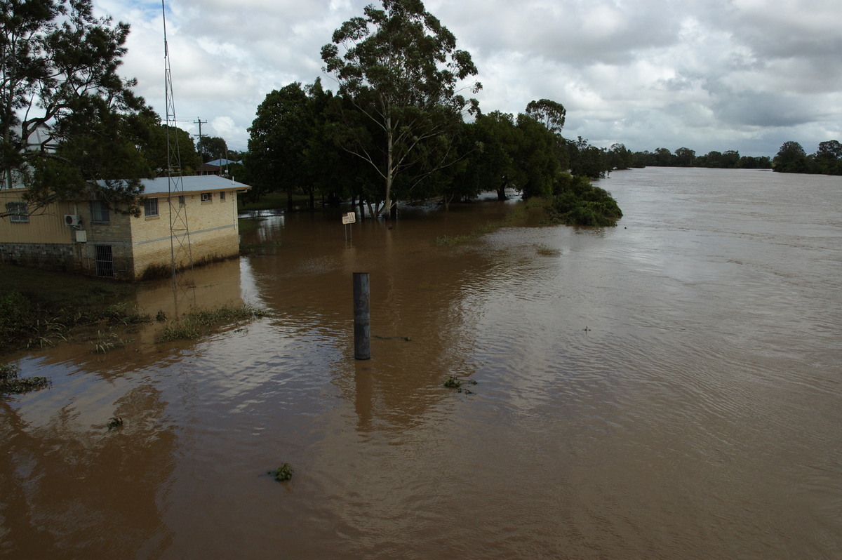 flashflooding flood_pictures : Coraki, NSW   8 January 2008