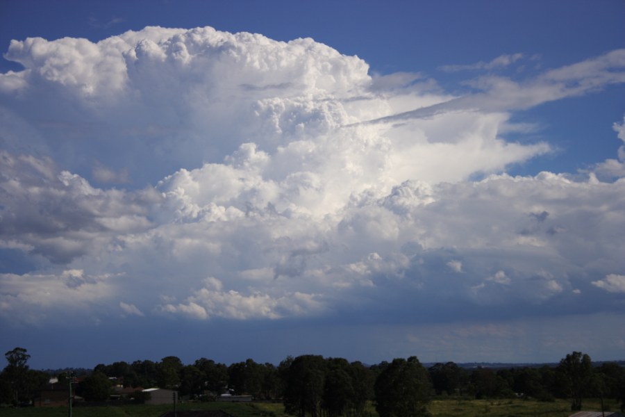 thunderstorm cumulonimbus_incus : Schofields, NSW   20 January 2008