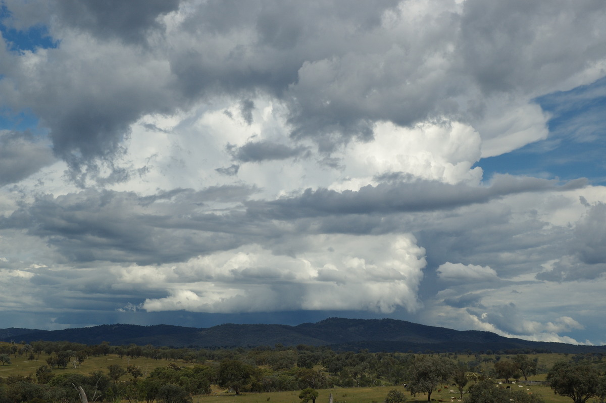 thunderstorm cumulonimbus_incus : W of Tenterfield, NSW   27 January 2008