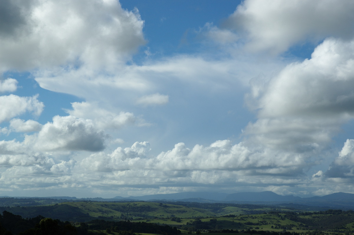 thunderstorm cumulonimbus_incus : McLeans Ridges, NSW   29 January 2008