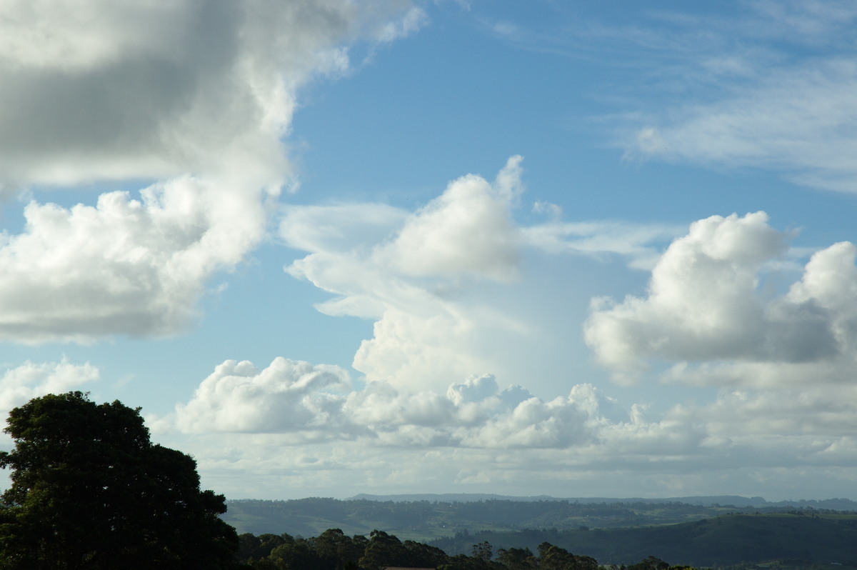 cumulus mediocris : McLeans Ridges, NSW   29 January 2008