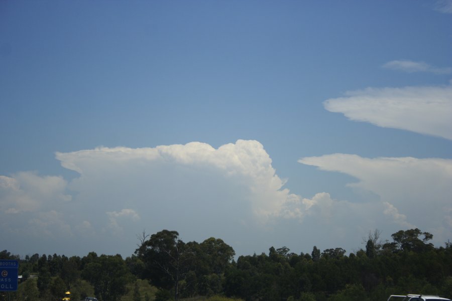 thunderstorm cumulonimbus_incus : Hoxton Park, NSW   30 January 2008
