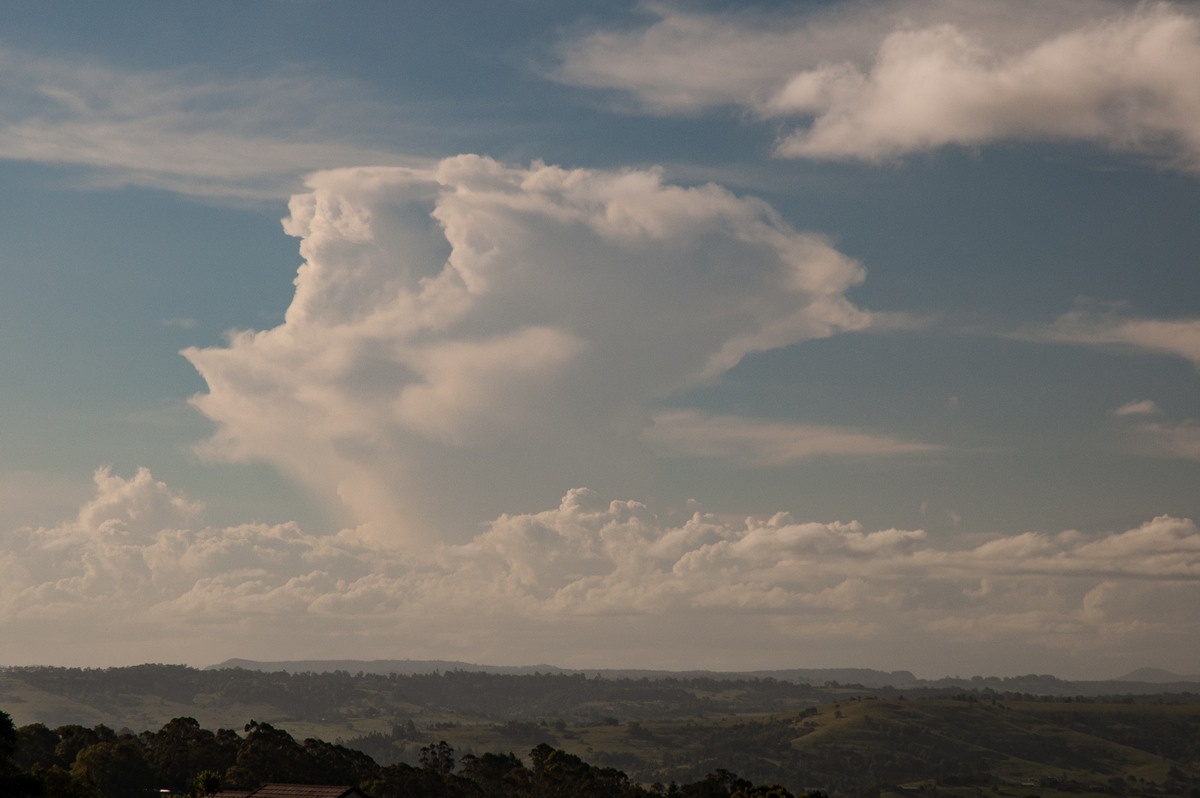 thunderstorm cumulonimbus_incus : McLeans Ridges, NSW   31 January 2008