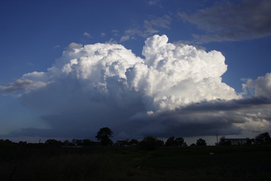 thunderstorm cumulonimbus_incus : Schofields, NSW   29 March 2008